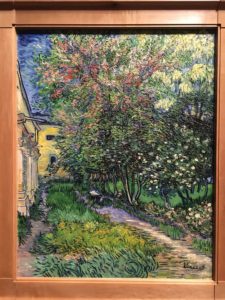 The garden of the Asylum at Saint-Remy - 1889 Vincent Van Gogh